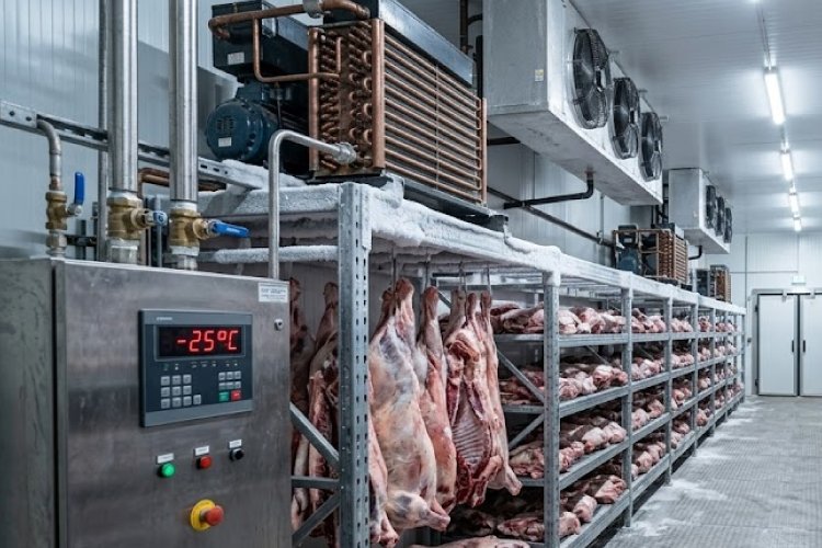 Frozen Buffalo Meat - AAZ Trading Company